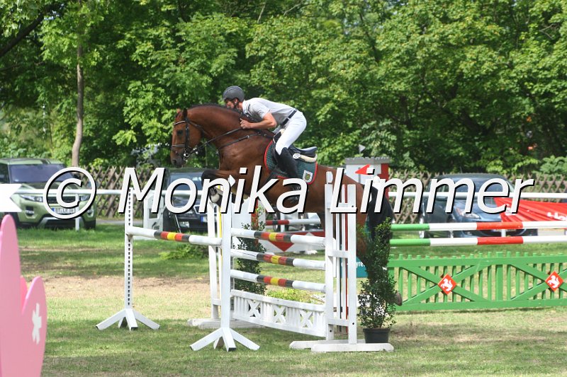 308M5148_Cortoni_Springpferde Mx.JPG